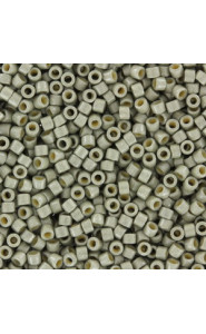 Miyuki delica Beads 11/0 - Duracoat galvanized matted ligt pewter DB-1851F